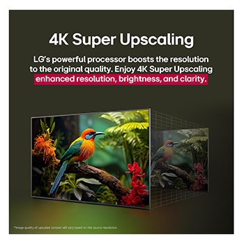 Before and after comparison of how LG 4K Super Upscaling improves image quality. Two panels showing the same image of a colorful bird sitting on a branch in a forest, panel on the right is faded out. The title talks about how 4K Super Upscaling enhances resolution, brightness and clarity. 
