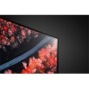 LG 55” LG OLED TV C9 ThinQ AI, OLED55C9PUA