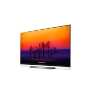 LG 55” E8 LG OLED TV w/ThinQ AI, OLED55E8PUA