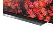LG 65” LG OLED TV C9 ThinQ AI, OLED65C9PUA