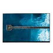 Front view of 65” LG OLED TV E9 ThinQ AI OLED65E9PUA