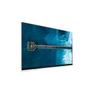 LG 65” LG OLED TV E9 ThinQ AI, OLED65E9PUA
