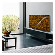 LG 55" CX LG OLED TV with ThinQ® AI, OLED55CXPUA