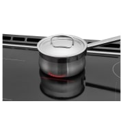 LG 6.3 cu. ft. Induction Slide In Range With  ProBake Convection™ and EasyClean®, LSE4617ST