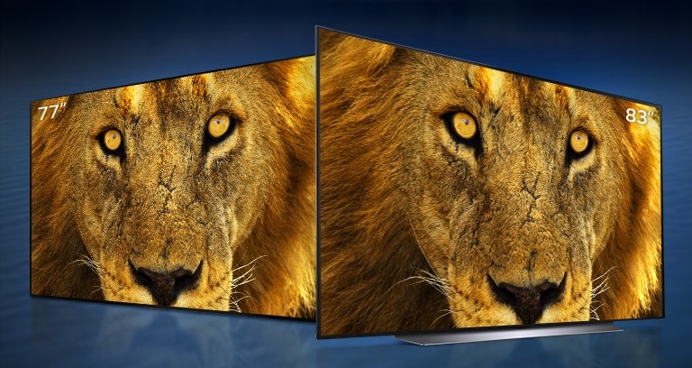 OLED TVs displaying a close up of a face of a lion in 77” and 83” each are standing diagonally in a dark blue wave background.