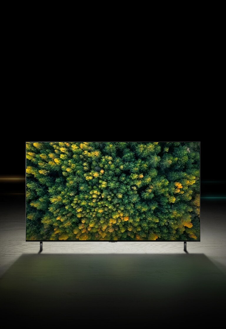 Camera moves from a close-up of top of TV down to a close-up of front of TV. TV screen shows green aurora. Camera zooms out to show very wide living room area. The living room is gray overall and there shows a forest through window outside.