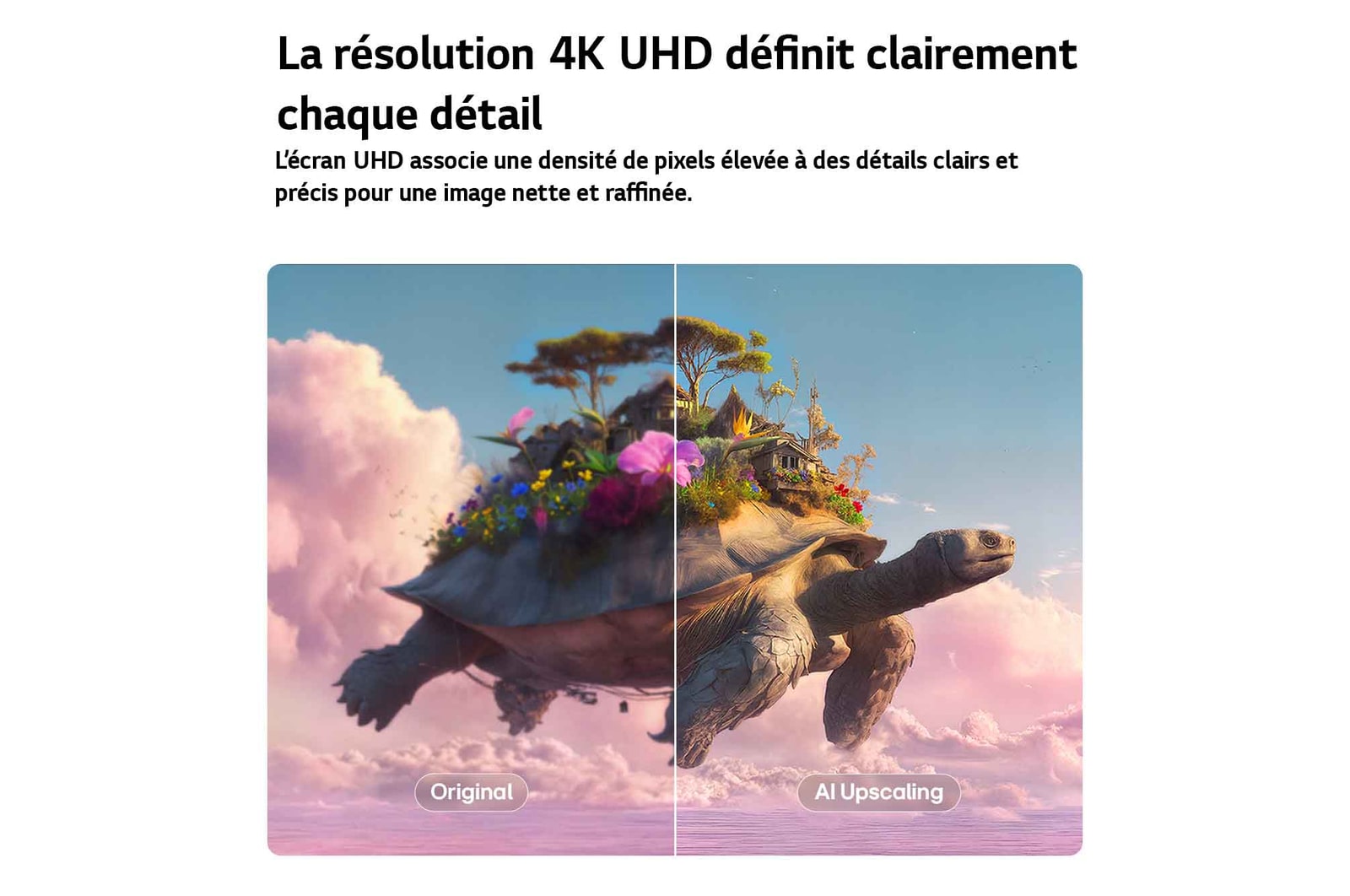 LG StanbyME 2 Max LX6 Movable Screen with AI Super Upscaling shows a split image of a flying turtle with objects on its shell, with one side blurred and the other clear, demonstrating enhanced clarity and refined 4K-level detail.