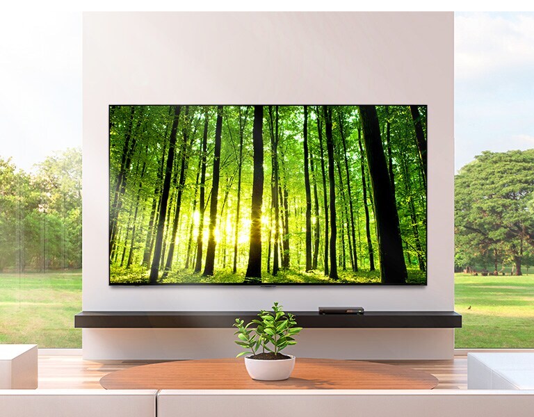 Large flatscreen TV mounted against a wall in front of floor-to-ceiling windows. A small plant sits on a coffee table in front of the TV.