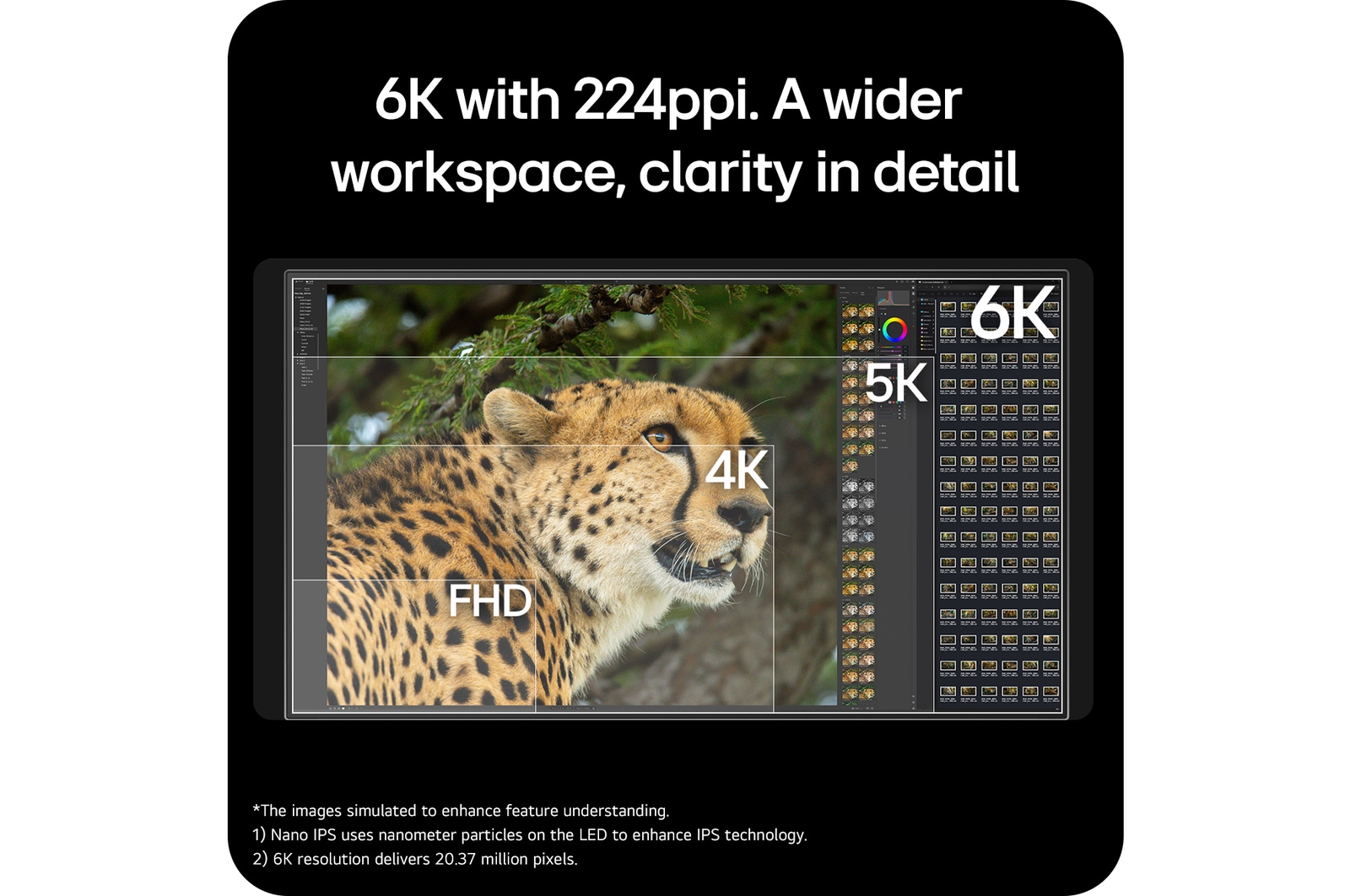 USP card: 6K with 224ppi. A wider workspace, clarity in detail