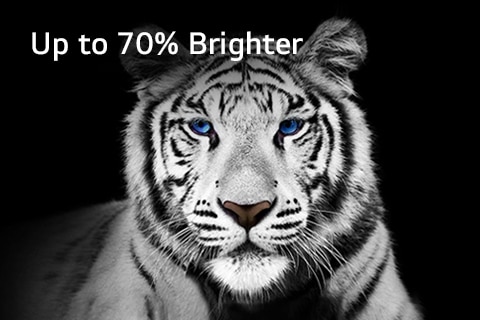 An image of a white tiger against a black background depicting Brightness Booster Max. 	