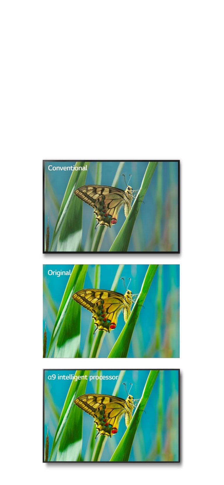 06_Alpha9_Color_Accuracy_desktop