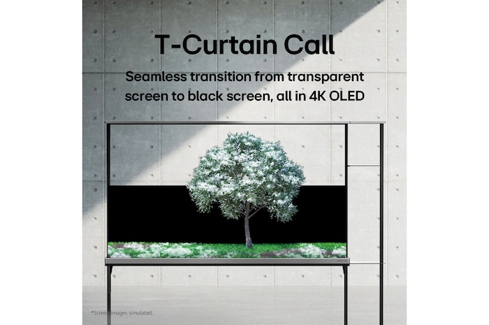 Sur l’écran de aa SIGNATURE OLED T de LG, on peut voir un arbre vert enneigé.