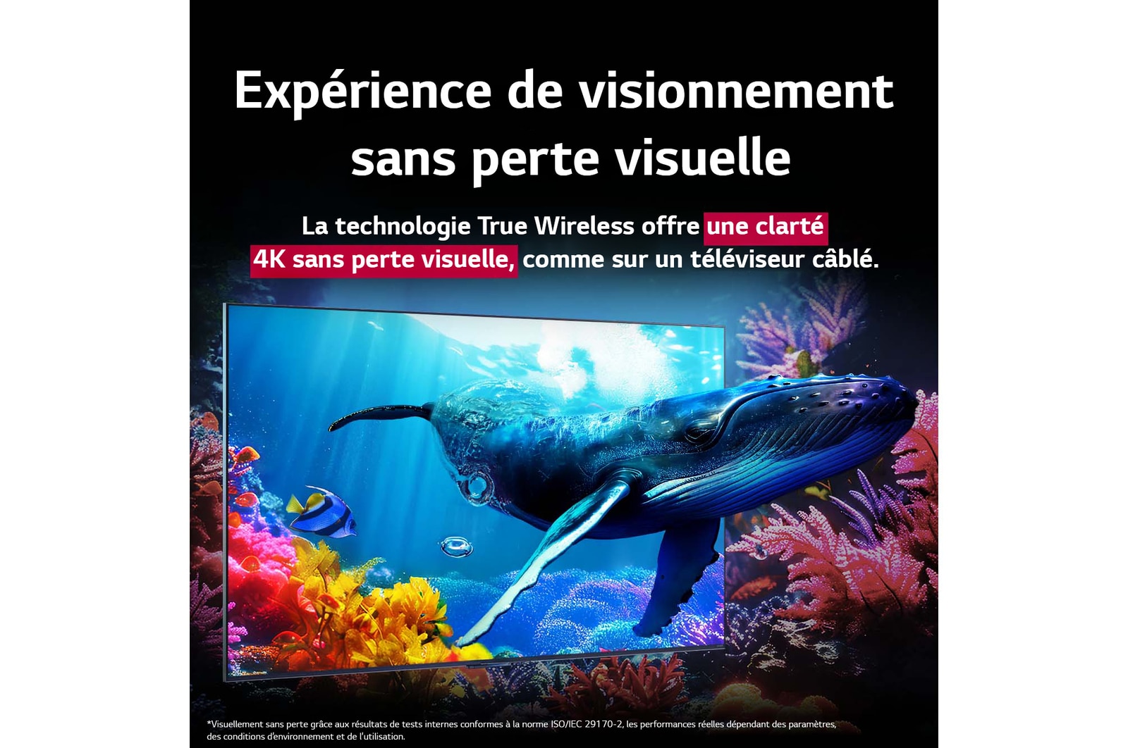 Une baleine nage vers le spectateur à travers un QNED9M placé au milieu des coraux de l’océan. Le texte explique que les détails sont impressionnants et que la qualité 4K est visuellement sans perte. 