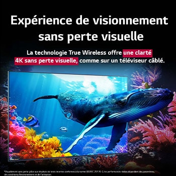 Une baleine nage vers le spectateur à travers un QNED9M placé au milieu des coraux de l’océan. Le texte explique que les détails sont impressionnants et que la qualité 4K est visuellement sans perte. 