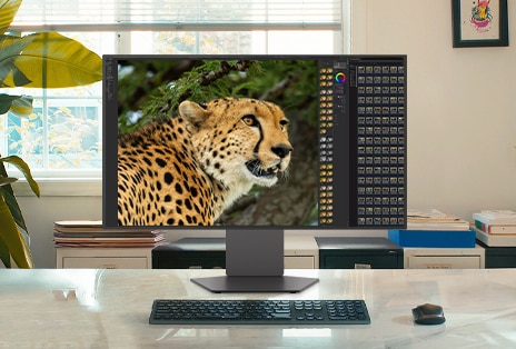 Un moniteur LG UltraGear de 32 à 34 pouces sur un bureau affiche une interface de retouche photo avec une image guépard, idéale pour un espace de travail élargi.
