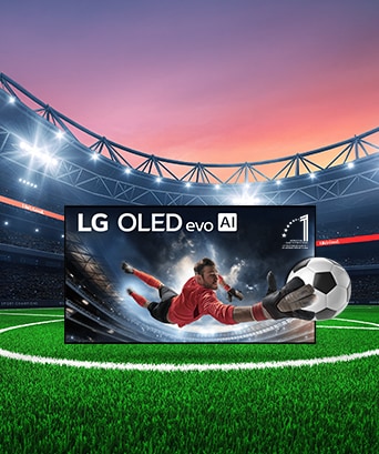 Grandes écrans. Grands matchs: 6 mois de TSN offerts avec les OLED 65 po+