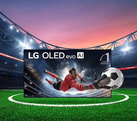 Grandes écrans. Grands matchs: 6 mois de TSN offerts avec les OLED 65 po+