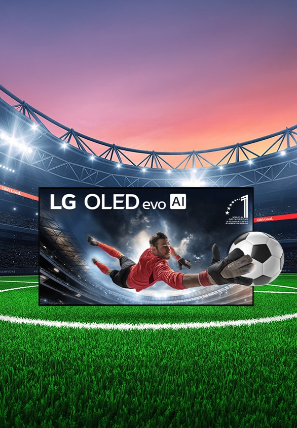 Grandes écrans. Grands matchs: 6 mois de TSN offerts avec les OLED 65 po+