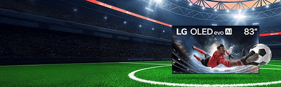 Grandes écrans. Grands matchs: 6 mois de TSN offerts avec les OLED 65 po+