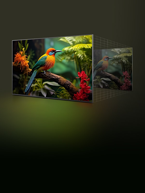 Écran LG TV avec image d'oiseau vive et couche sombre, illustrant l'AI Upscaling pour des détails d'image plus nets.