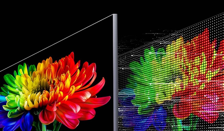 Une illustration comparant une image florale multicolore éclatante à une structure lumineuse RGB au niveau des pixels, illustrant la reproduction détaillée des couleurs rendue possible par le LG Micro RGB evo.