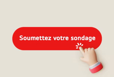 Pour finaliser votre participation, cliquez sur « Soumettre mon questionnaire ».