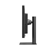 LG Moniteur de diagnostic IPS Black 8 Mpx de 31,5 po, 32HQ713D-B