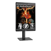 LG Moniteur de diagnostic IPS 21.3'' 3 mpx de LG, 21HQ513D-B