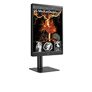 LG Moniteur de diagnostic IPS 21.3'' 3 mpx de LG, 21HQ513D-B