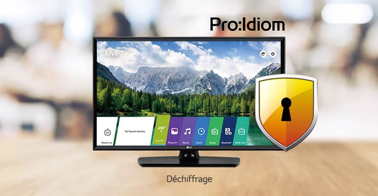 L’utilisation de Pro:Idiom peut empêcher la copie illégale de contenu.