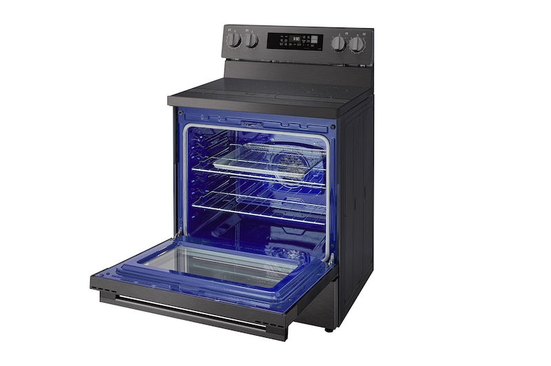 Left perspective view