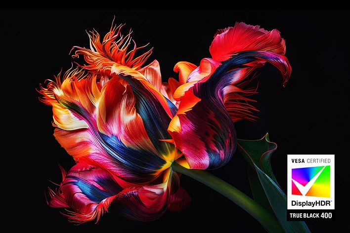 Image vive d'une fleur colorée avec des détails complexes sur un fond noir, présentant le logo VESA Certified DisplayHDR True Black 400.
