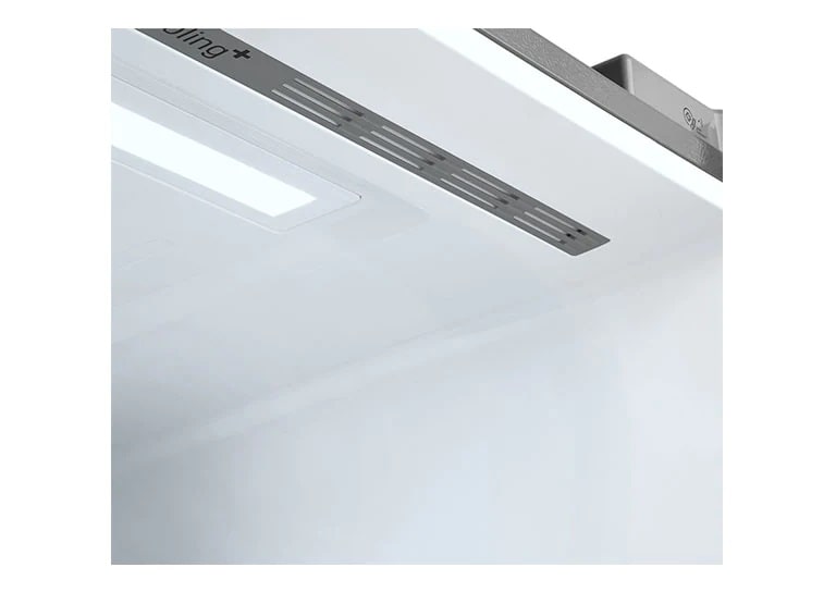 Une fraîcheur focalisée