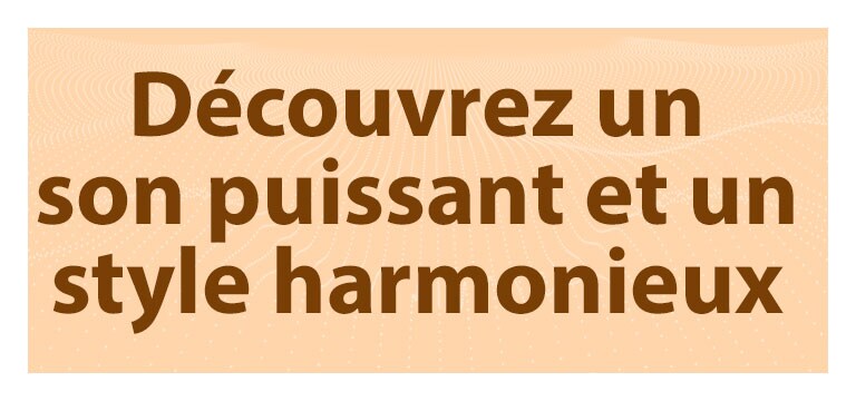 Découvrez un son puissant et un style harmonieux