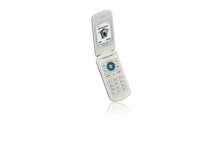 LG Intégré avec une mémoire extensible jusqu’à 4GB, un appareil photo de 1.3 mégapixels et l’option Bluetooth en stéréo., GB250G