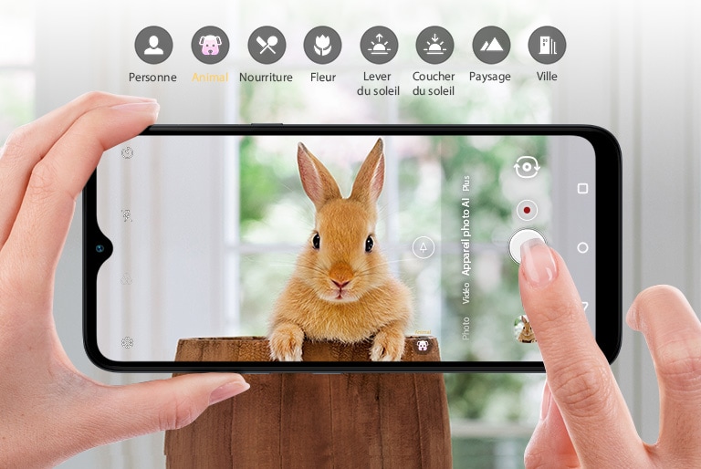 Gros plan d’une personne tenant un téléphone intelligent et prenant en photo un lapin