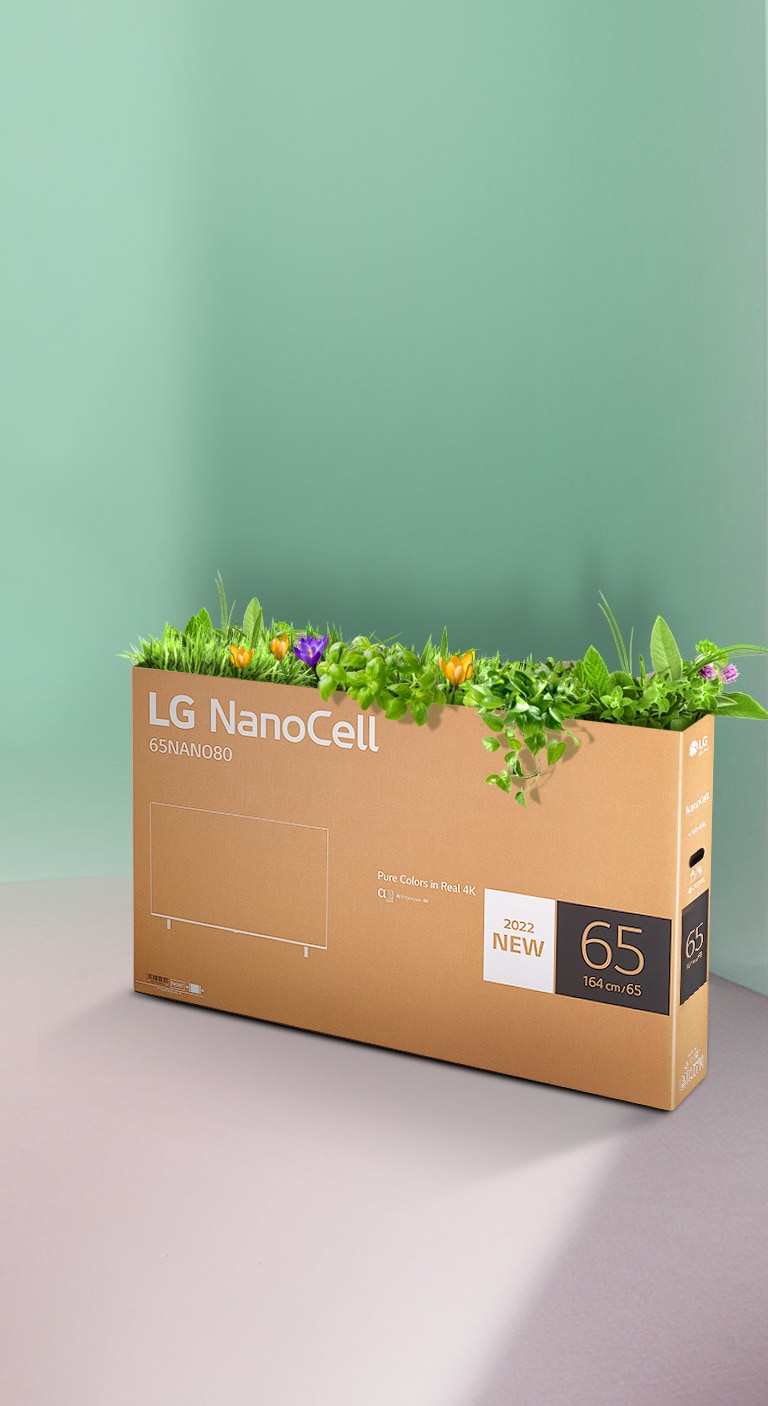 Boîte recyclable du téléviseur LG NanoCell avec des fleurs et des plantes poussant sur le dessus de la boîte.