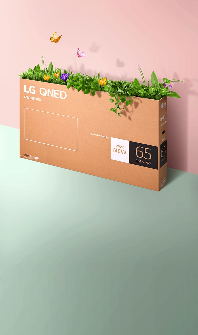 La boîte d’emballage du QNED est placée contre un fond rose et vert, avec de l’herbe et des papillons qui ressortent de la boîte.