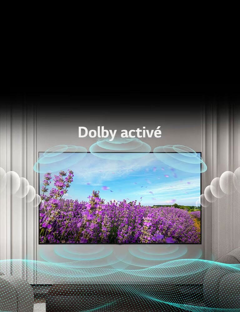 L’écran du téléviseur QNED montre des fleurs roses de colza dans un champ d’été et le texte au milieu affiche les mots « Dolby DÉSACTIVÉ ». L’image à l’écran devient plus lumineuse et le texte se transforme pour lire « Dolby ACTIVÉ ».