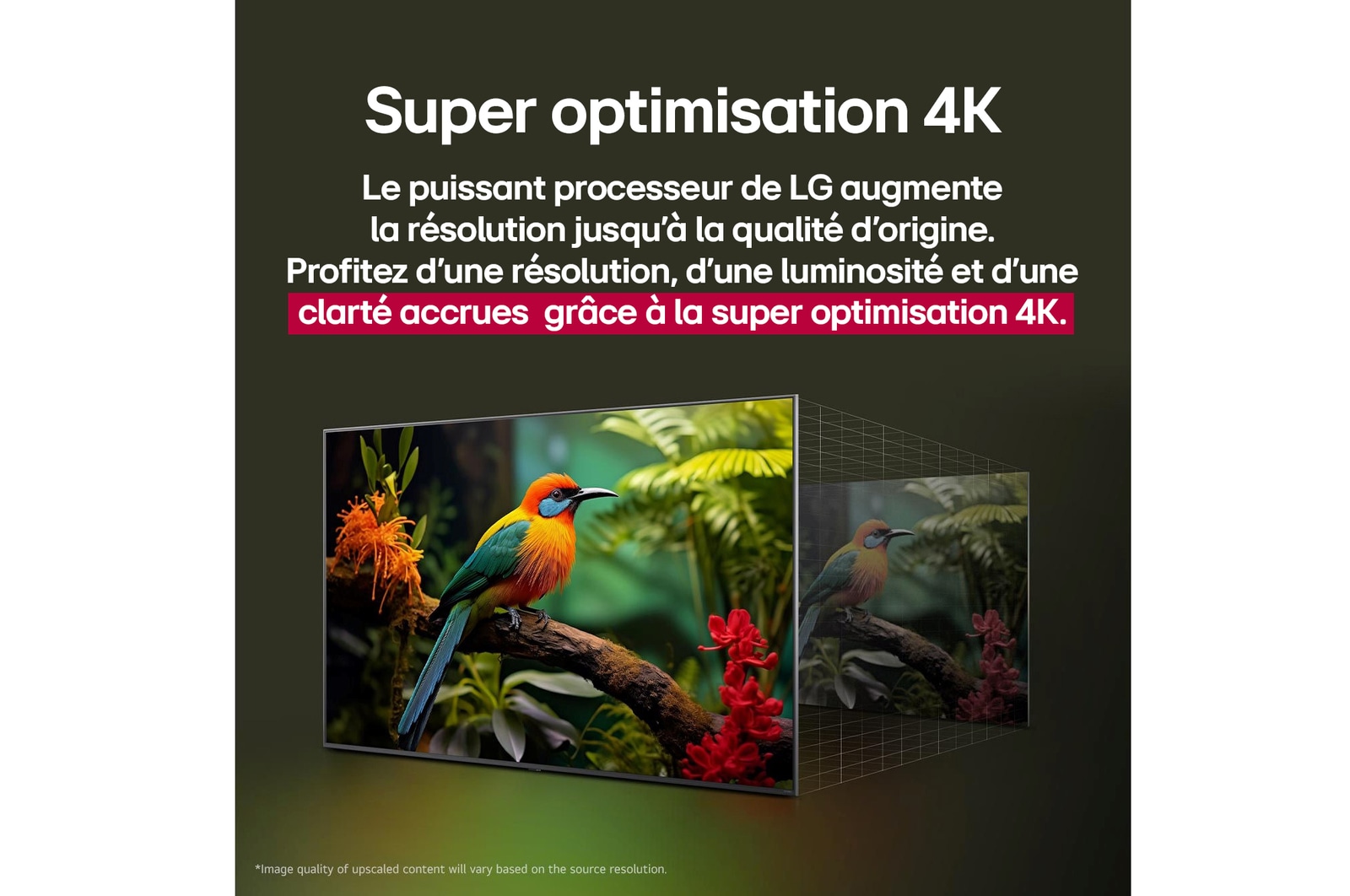 Comparaison avant/après de l’amélioration de la qualité d’image grâce au Super Upscaling 4K de LG. Deux panneaux montrant la même image d’un oiseau coloré assis sur une branche dans une forêt, le panneau de droite est estompé. Le titre explique comment le Super Upscaling 4K améliore la résolution, la luminosité et la clarté. 