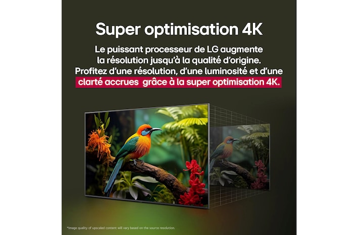 Comparaison avant/après de l’amélioration de la qualité d’image grâce au Super Upscaling 4K de LG. Deux panneaux montrant la même image d’un oiseau coloré assis sur une branche dans une forêt, le panneau de droite est estompé. Le titre explique comment le Super Upscaling 4K améliore la résolution, la luminosité et la clarté. 
