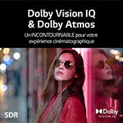 LG Téléviseur OLED intelligent 4K C1 de 55 po de LG, OLED55C1AUB