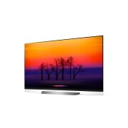 LG Téléviseur OLED E8 de 65 po de LG doté de la technologie ThinQ IA, OLED65E8PUA