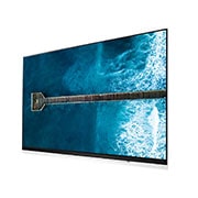 LG Téléviseur OLED E9 de 65 po de LG doté de la technologie ThinQ IA, OLED65E9PUA