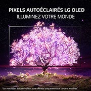 LG Téléviseur OLED intelligent 4K C1 de 77 po de LG, OLED77C1AUB