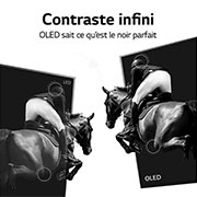 LG Téléviseur OLED intelligent 4K C1 de 83 po de LG, OLED83C1AUA