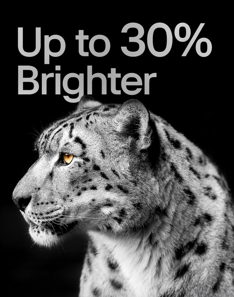 Le profil d’un léopard blanc est affiché à la gauche de l’image. Les mots « Jusqu’à 30 % plus lumineux » apparaissent à gauche.