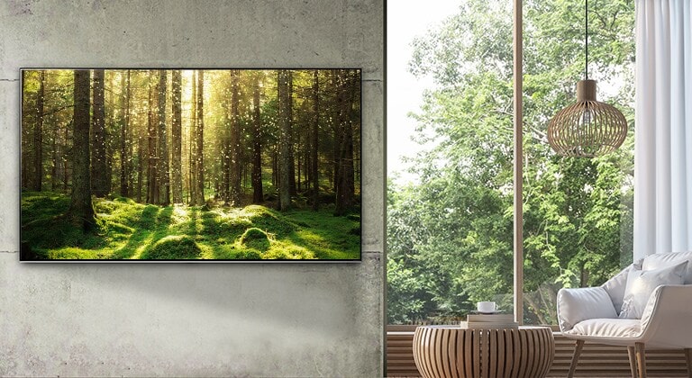Un grand téléviseur à écran plat fixé sur un mur gris à côté d'une très grande fenêtre et de meubles en bois naturel. L’écran montre une scène de forêt traversée par de la lumière.
