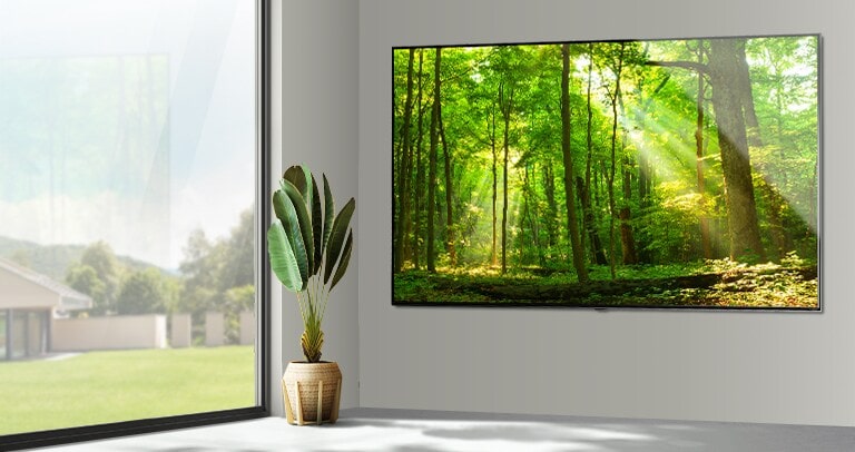 Un grand téléviseur à écran plat fixé sur un mur gris à côté d'une très grande fenêtre. L’écran montre une scène de forêt traversée par de la lumière.