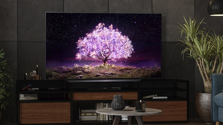 Un téléviseur affichant un arbre rose brillant au milieu est placé dans un salon sombre.